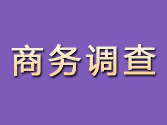 柯坪商务调查